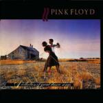 Pink Floyd - A Collection Of Great Dance Songs (LP) (190295996901)