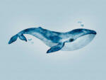  AS-Creation Metropolitan Srories the Wall 38300-1 Natur Gyerekszobai Vidám kák bálna világoskék fehér kék falpanel (38300-1)