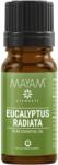 Elemental Eukaliptusz Radiata illóolaj, Ellemental 10ml