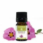 Elemental Balzsamos szuhar illóolaj, bio, Ellemental 5 ml