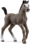 Schleich Figurină Schleich Horse Club - Sel France cal (13957-57873) Figurina