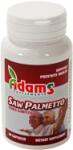 Adams Supplements Saw palmetto 60cps ADAMS SUPPLEMENTS