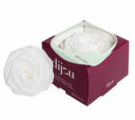  Trandafir ALB Natural Criogenat Premium cu diametru 10cm + cutie cadou