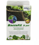 Bactofil B-10 por zöldségekhez 10g (bactofil2)