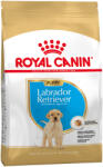 Royal Canin Royal Canin Breed Labrador Retriever Puppy - 2 x 12 kg