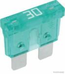 Herth+buss Elparts siguranta fuzibila HERTH+BUSS ELPARTS 50295430 (50295430)