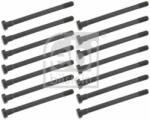 Febi Bilstein Set surub, chiulasa FEBI BILSTEIN 12609 (12609)