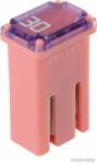 Herth+buss Elparts siguranta fuzibila HERTH+BUSS ELPARTS 50295355 (50295355) - automobilus