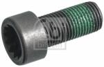 Febi Bilstein Surub volanta FEBI BILSTEIN 179618 (179618)