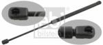 Febi Bilstein Amortizor portbagaj FEBI BILSTEIN 29320 (29320)