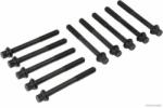 Herth+buss Jakoparts Set surub, chiulasa HERTH+BUSS JAKOPARTS J1280314