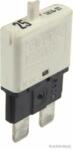 Herth+buss Elparts Automat siguranta HERTH+BUSS ELPARTS 50295905 (50295905)