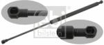 Febi Bilstein Amortizor portbagaj FEBI BILSTEIN 28043 (28043) - automobilus