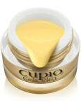 Cupio Gel de pictura One Stroke Pastel Yellow 5ml (C5442)