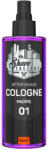 The Shave Factory Pacific 01 - Colonie after shave 250ml (840302410837)