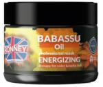 RONNEY Babassu Oil - Masca energizanta pentru par vopsit 300ml (5060589155671)