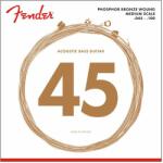 Fender AuriSonic 7060R Phosphor Bronze Acoustic Bass Strings
