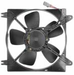 THERMOTEC Ventilator, radiator THERMOTEC D80006TT (D80006TT) - automobilus