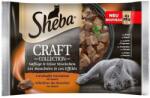 Sheba Craft Collection Chunky & Shredded Pieces 4x85 g
