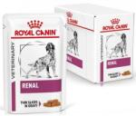 Royal Canin Early Renal 12x100 g