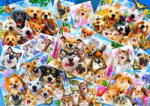 Bluebird Puzzle 90232 - Selfie Pet Collage - 1000 db-os puzzle (90232)