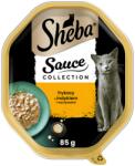 Sheba Sauce Collection 85 g nedves teljes értékű eledel felnőtt macskáknak frikázott pulykával és zöldségekkel mártásban