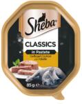 Sheba tacka Classics Poultry Cocktail 85g nedves teljes értékű eledel felnőtt macskáknak, pástétomban
