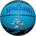 Spalding 84-598Z (84-598Z)