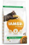 Iams for Vitality Adult chicken 2 kg