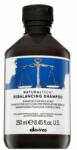 Davines Natural Tech Rebalancing Shampoo șampon 250 ml