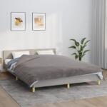 vidaXL Pătură grea cu husă, gri, 200x220 cm, 13 kg, material textil (3154895) Patura