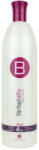 BERRYWELL Special Lotion 4% 1001ml