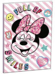 Starpak Disney Minnie B/5 vonalas füzet 40 lapos