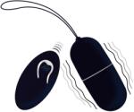 Intense Ou Vibrator Intense Flippy I Vibrating Egg With Remote Control Black