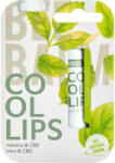 BIOBAZA Balsam natural pentru buze, cu menta si CBD, COOL LIPS, BIOBAZA, 4, 5 g