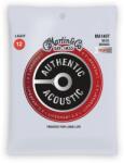 Euromusic MA140T - Authentic Acoustic LifespanŽ 2.0, 80/20 Bronze, Light - J009J