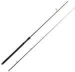 Delphin Lanseta Delphin Murena, 2.40m, 100g, 2 tronsoane (101000311)