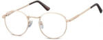 Berkeley ochelari protecție calculator 604 F (C10N SO 604F 49) Rama ochelari