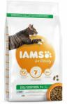 Iams for Vitality Adult Ocean fish 2 kg