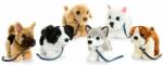 Keel Toys Jucărie de pluș Keel Toys - Câine cu lesă, 30 cm, asortiment (SD2568)
