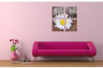 4 Decor Tablou canvas 4 piese - Musetel