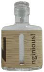 nginious! ! Smoked & Salted gin mini (0, 1L / 42%) - ginnet