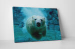 4 Decor Tablou canvas : Ursul polar - beestick-deco - 104,00 RON
