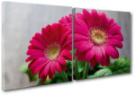 4 Decor Tablou canvas 2 piese - Gerbere