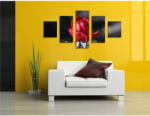 4 Decor Tablou canvas 5 piese - Trandafir rosu