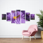 4 Decor Tablou canvas 7 piese - Aster