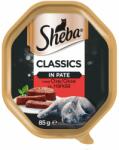 Sheba Classics hrana umeda pentru pisici, pate cu vita 22 x 85 gr