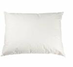 Vlnka Hagyományos párna gyapjúval 40x40