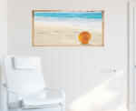 4 Decor Beautiful Shell
