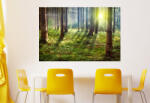 4 Decor Sunny Summer Forest